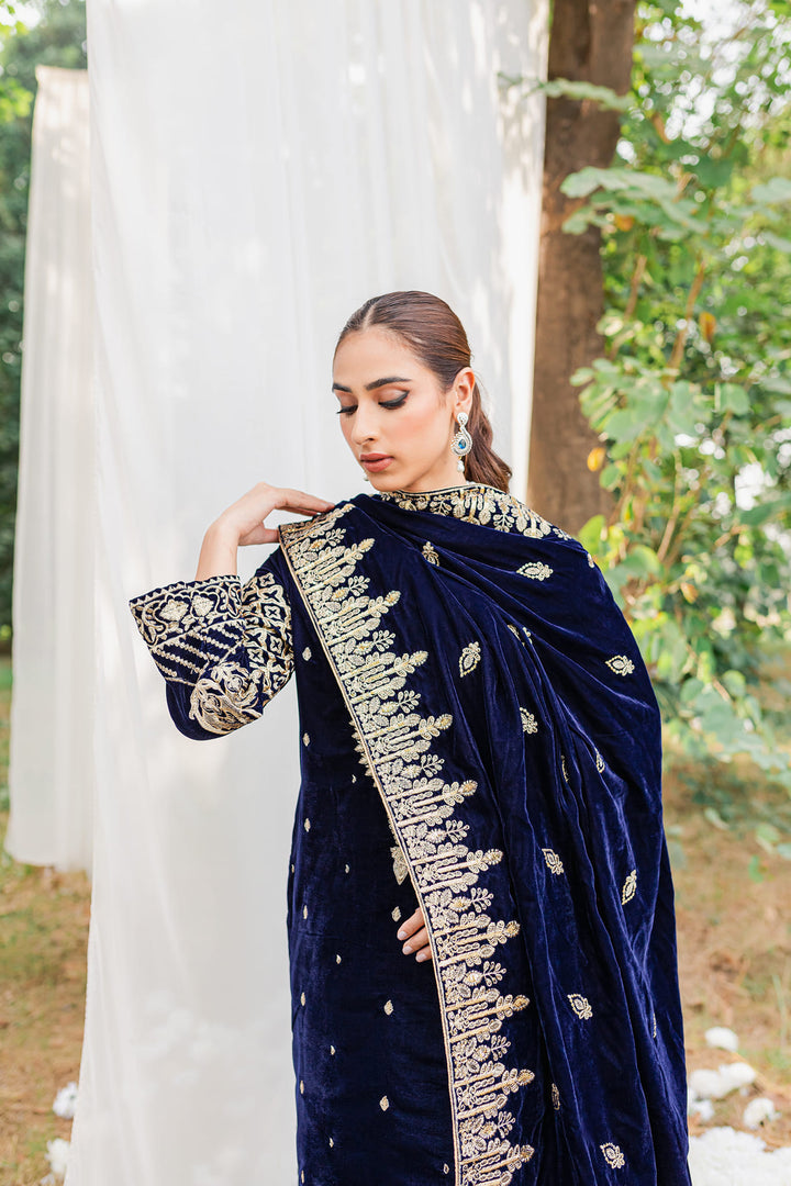 VELVET 3PC SHIRT EMBROIDERED EMBROIDERED VELVET DUPATA SILK TROUSER 614-RR