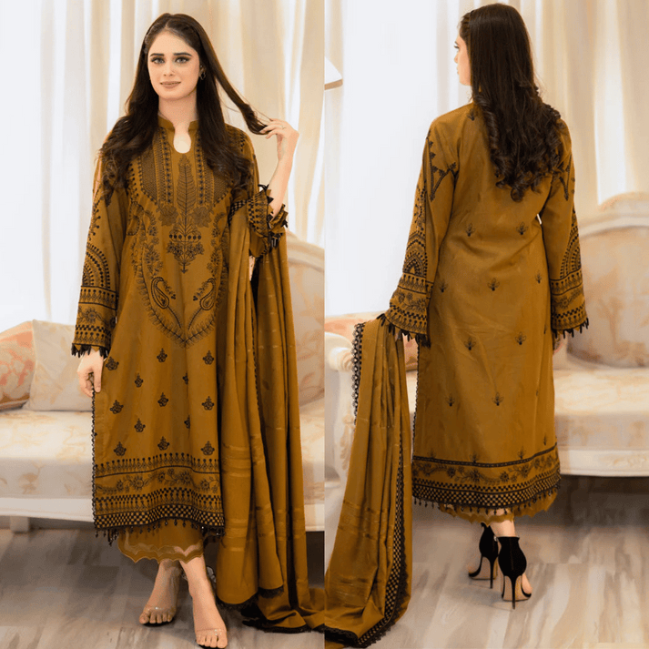 DANAK 3PC EMBROIDERED FRONT EMBORIDED SLEEVES PLAIN TROUSER EMBROIDERED DANAK SHAWL 545-RR