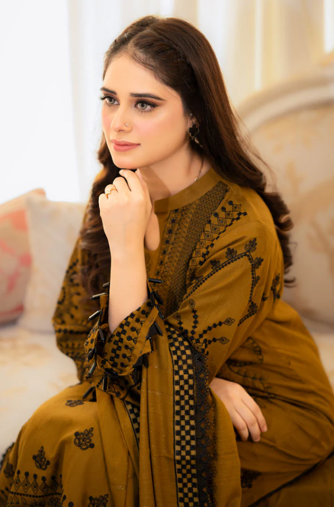 DANAK 3PC EMBROIDERED FRONT EMBORIDED SLEEVES PLAIN TROUSER EMBROIDERED DANAK SHAWL 545-RR